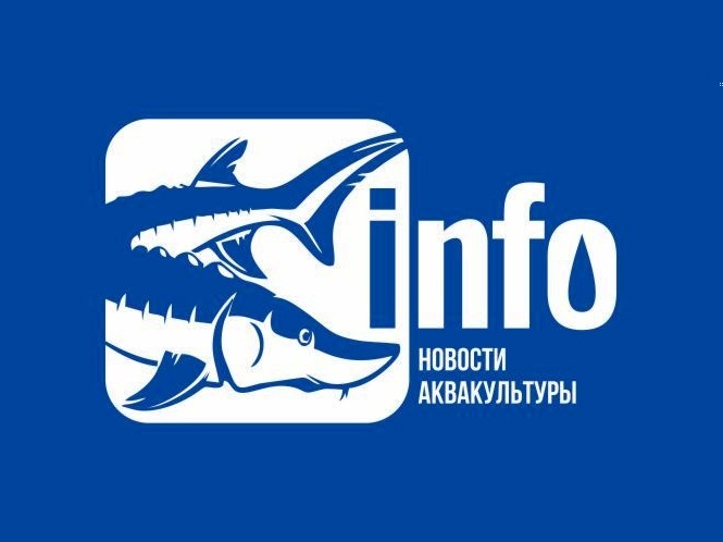 Полмиллиона профессионалов АПК выбрали нас: итоги первого полугодия 2026