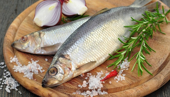 Промысловый флот на Дальнем Востоке: динамика уловов сельди и других морских ресурсов