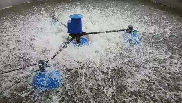 Аэрация воды в аквакультуре: методы и их значение