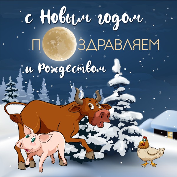 С Новым годом и Рождеством!!!