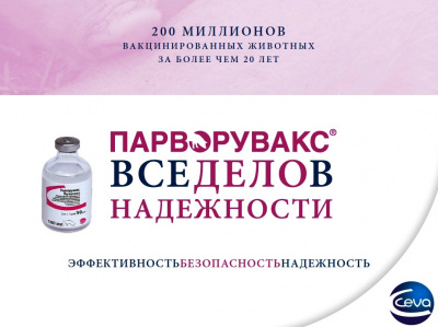 Парворувакс