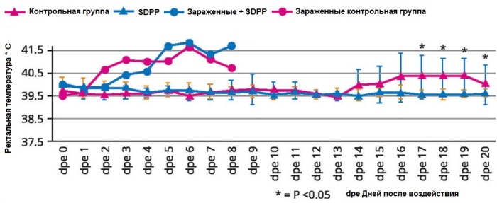 Использование вакцинации и плазмы для борьбы с вирусом АЧС