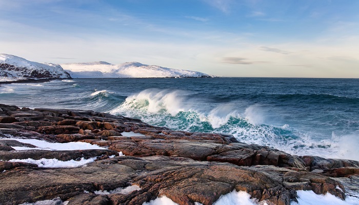 Ограничения на рыболовство в Беринговом море: новые меры на 2026 год