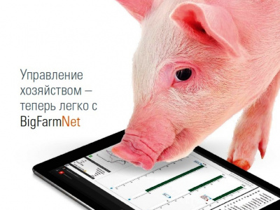 Управление хозяйством