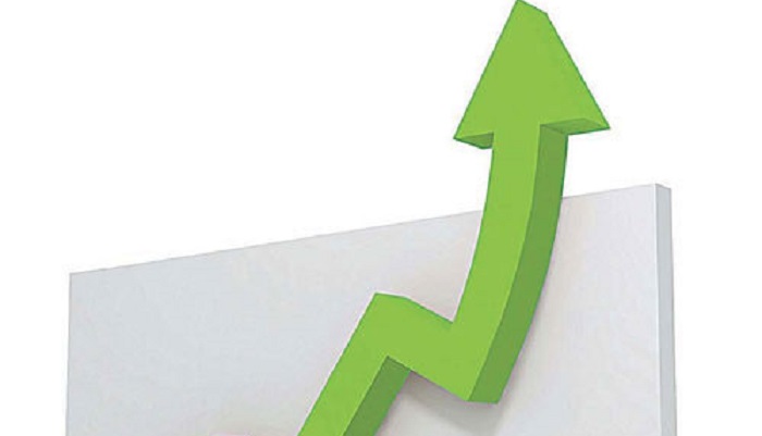 Экспорт рыбы вырос на 14% в денежном выражении