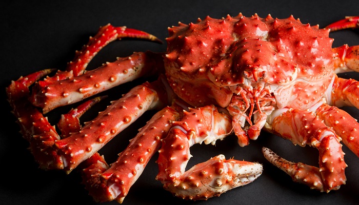 Норвегия рекомендует сократить квоту на вылов камчатского краба: причины и последствия