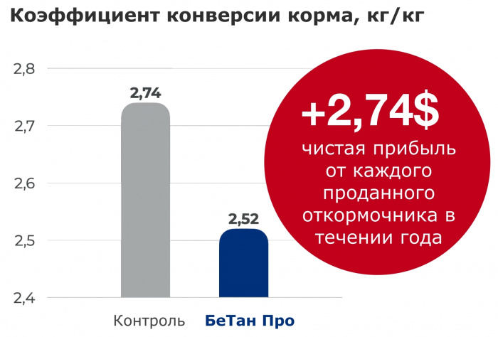 Clostridium spp. в свиноводстве: скрытая угроза рентабельности и как её остановить без антибиотиков