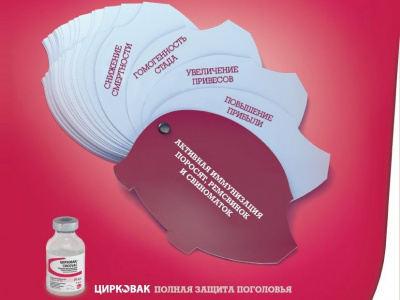 Цирковак