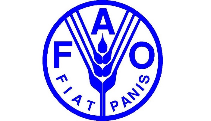 FAO: объем мировой рыбной торговли продолжит снижаться