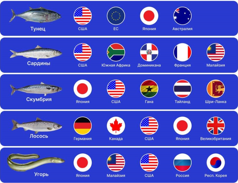 Тунец, сардины, скумбрия — топ-3 самых популярных рыбных консервов в мире